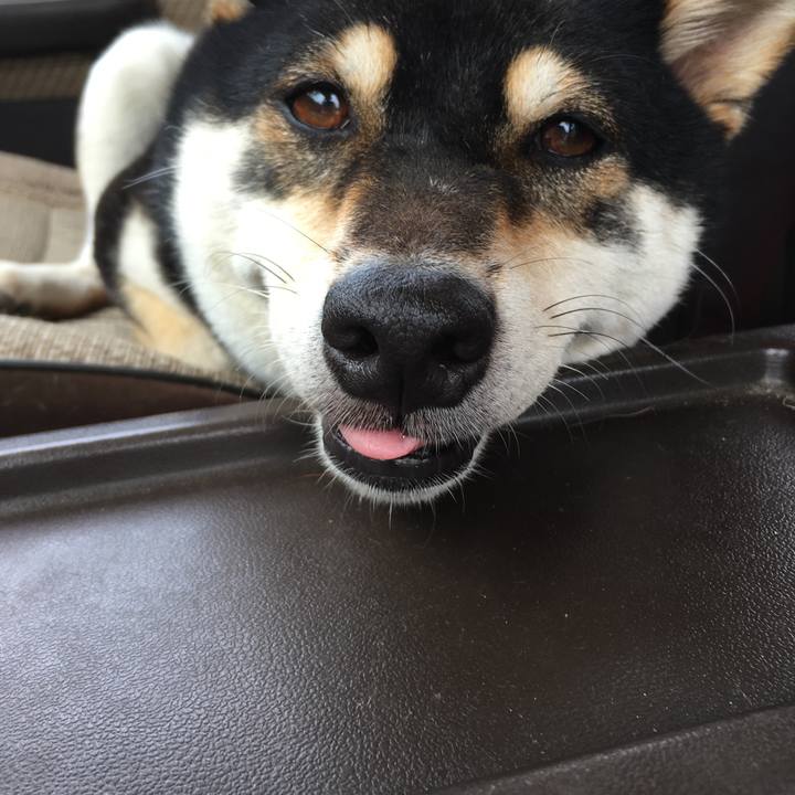 Add400b3 596e 4b7b 9eb0 327429a59f9e 1563199288644