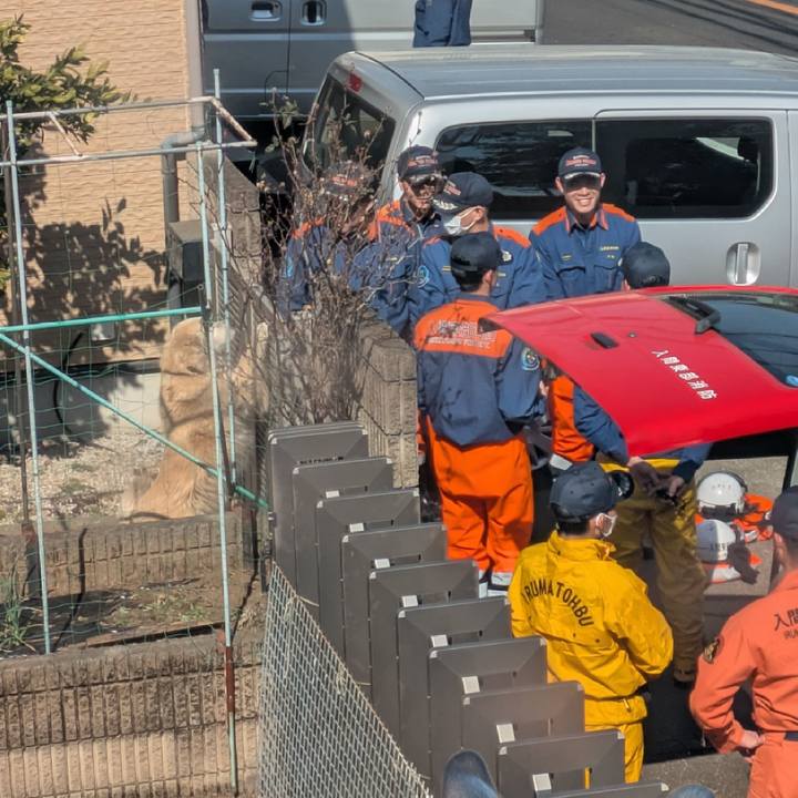 Add419a8 93c1 43ff 9da1 abe554685030 1740888705362