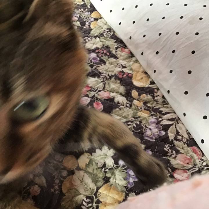 Add42322 52dc 4ab2 ad2c 22308ceff67d 1646530278542