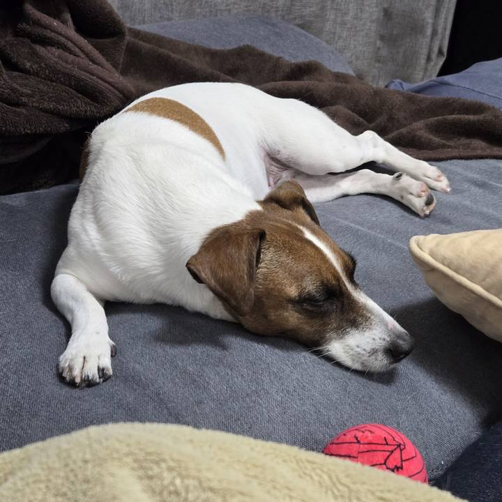 Add42417 06e1 49a5 ab22 603a795339f5 1767358214065