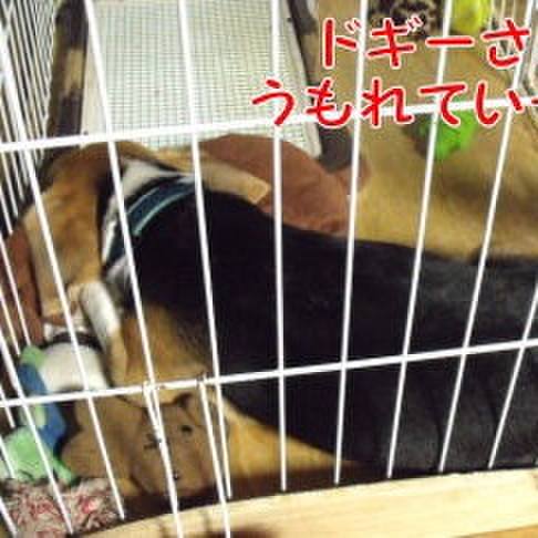 Add472fb 2dab 4aa4 b15e 5d19a2fd0a9e 1694390545371