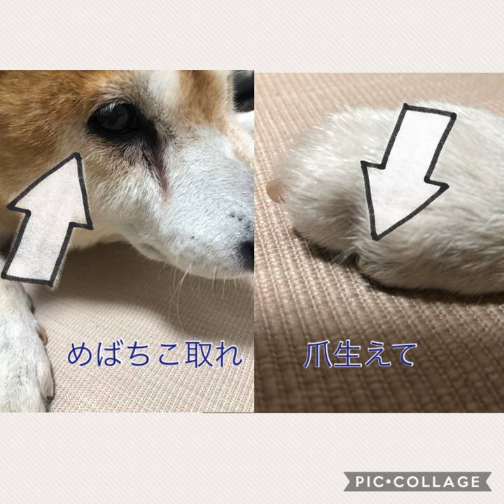 Add511e9 891f 4a4b 8091 3b829ce47335 1574030493710