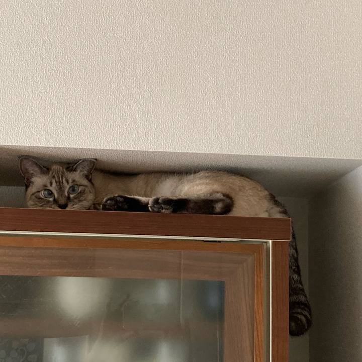 Add55444 0e35 4564 bd90 c108f89025ca 1632355268106