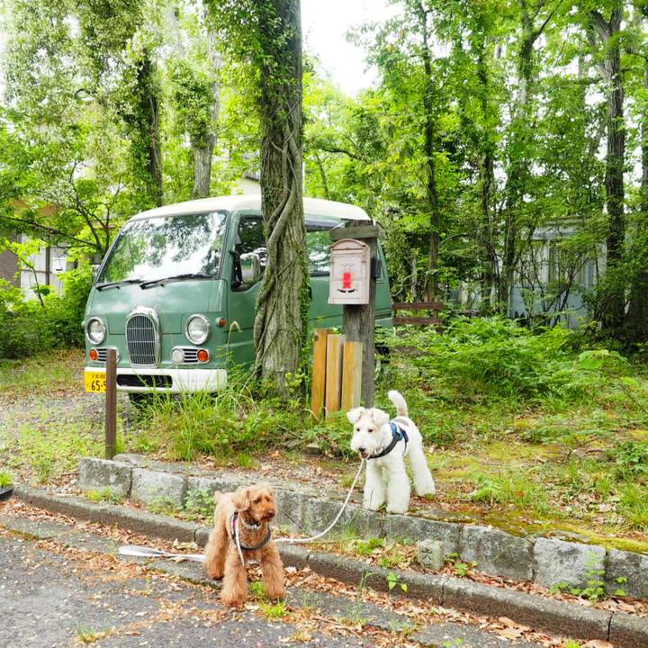 Add556a0 c3de 49df ab45 fefdad9d70c2 1559438478312