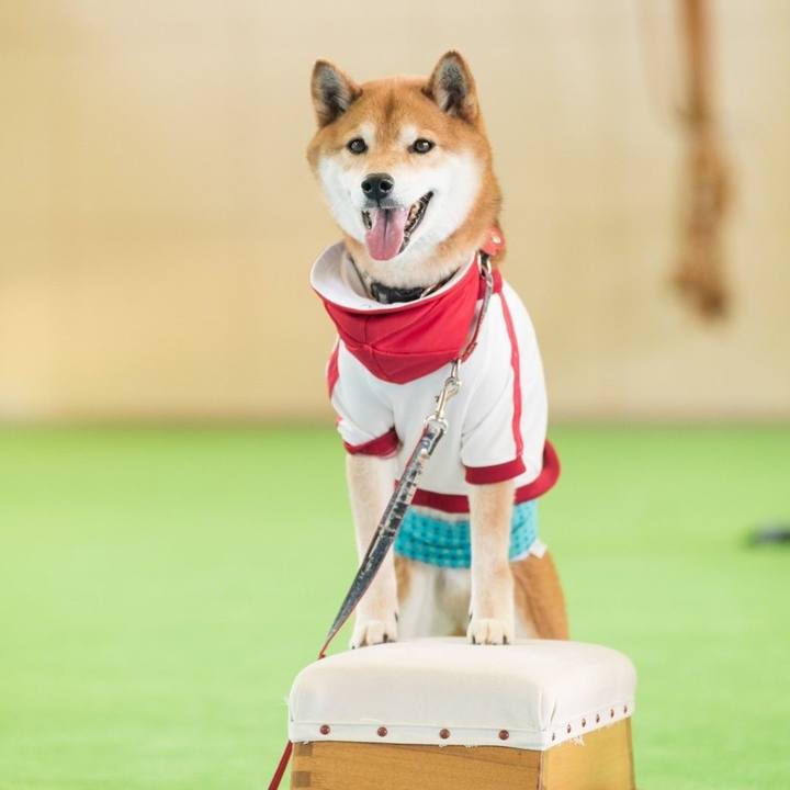 Add5793d bf75 484c 8a1c 1ab19236587f 1715181297257