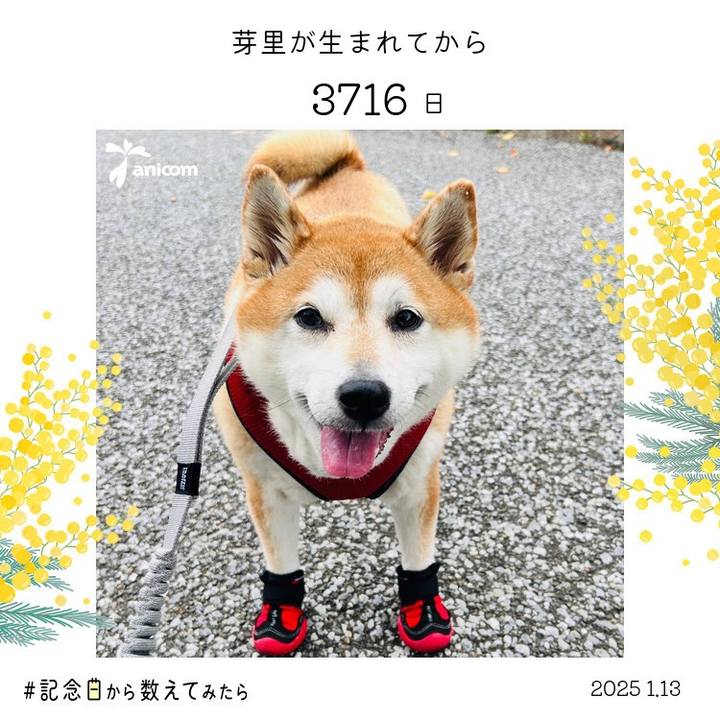 Add5c402 6865 4135 9b08 cd9800bca68a 1736745935188