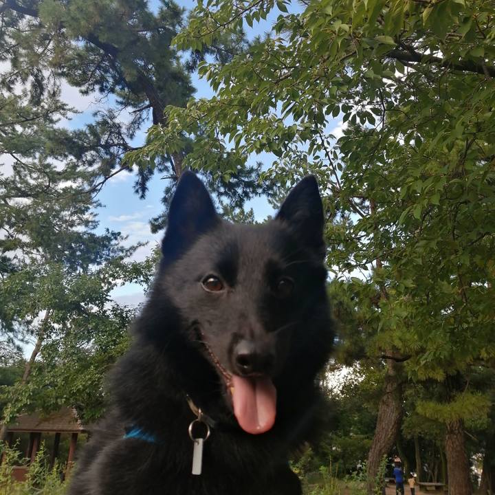 Add63580 10a7 4dcb 8f3f 34ec2b0e3cff 1629275682576