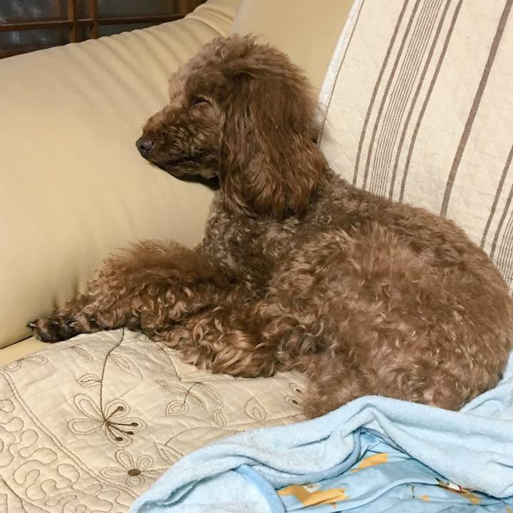 Add63d4a a485 45c5 b9d7 c9e7f9f40d8d 1527382354430