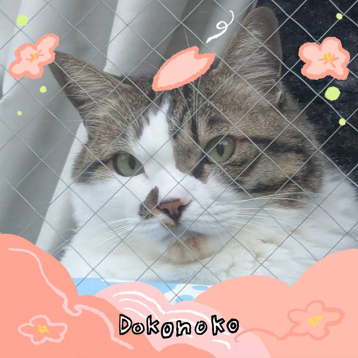 Add661b8 dcc9 4547 9f1d 82947cf8ddd5 1775212651177