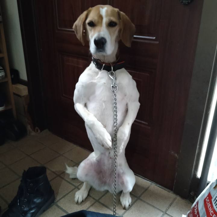 Add66acd 69ac 431e a7f9 e8038a4a0025 1645009859759