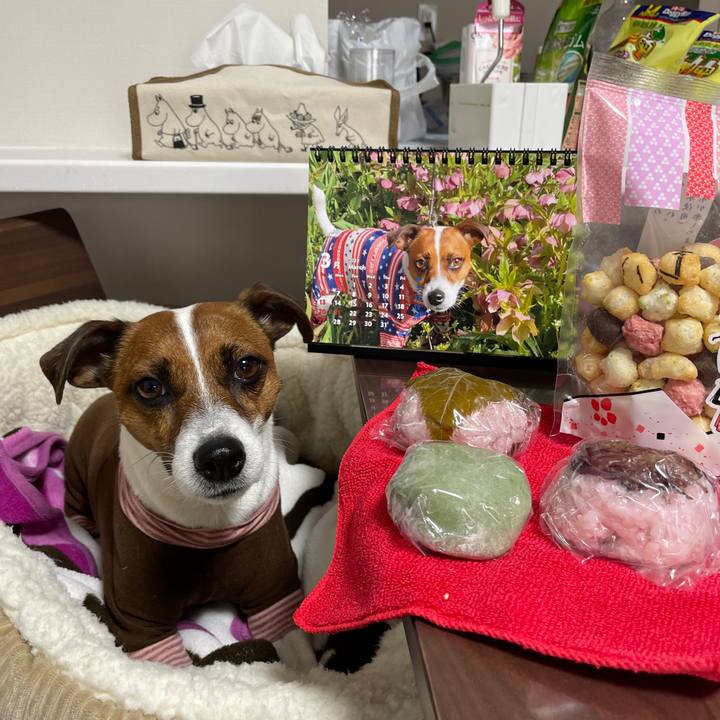 Add67e5c 2795 41d4 80b1 09184671fd9b 1646293137016