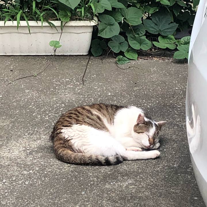 Add6e5ab b768 4eba 8ead 14bc797341c7 1562345008770