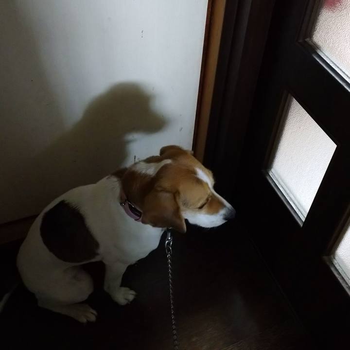 Add6fe70 b7f8 4409 8d5d a0d5d9572a1a 1576818591767