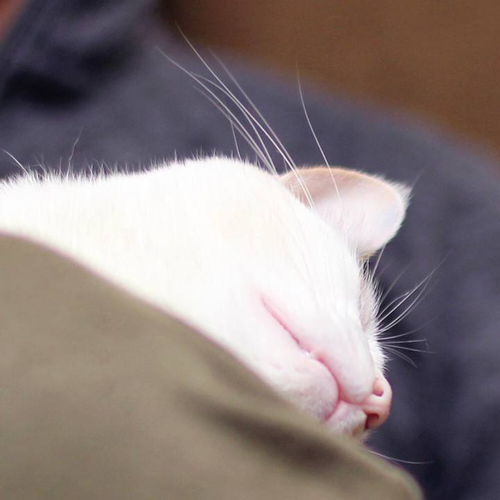 Add71049 890e 4f14 8d9f 7aa45ca38226 1602590209074