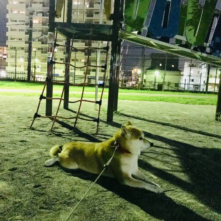 Add7692a 32f5 444c 876c e02ffe77e202 1564916379958