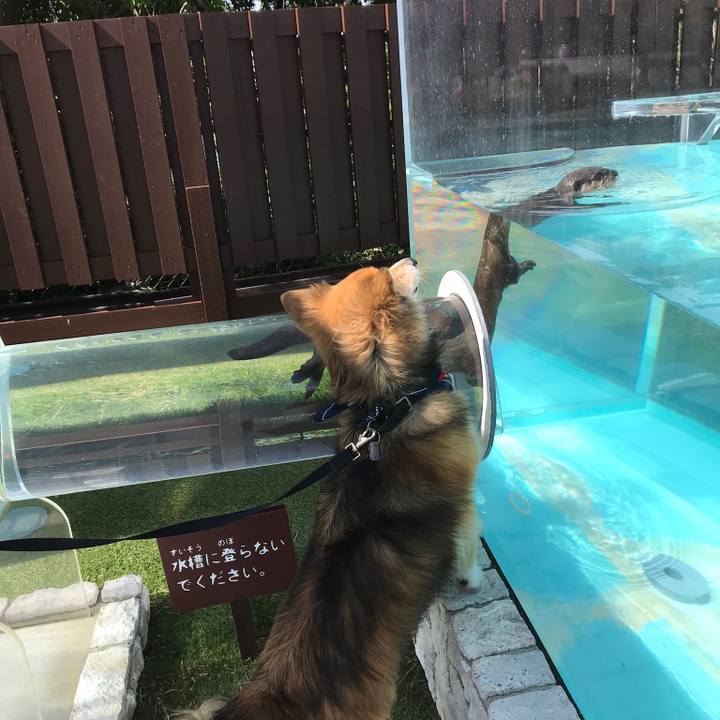 Add77cba 87c9 4153 a3ab 3a5a8bc2756e 1530687093786