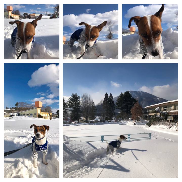 Add7b38b d0dc 4f33 a4db 21324297ab50 1547791135620