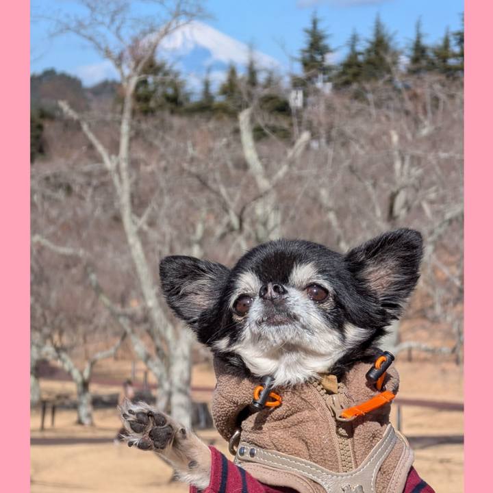 Add7c419 4184 4e2c 9a92 49659ede75d3 1769927369288