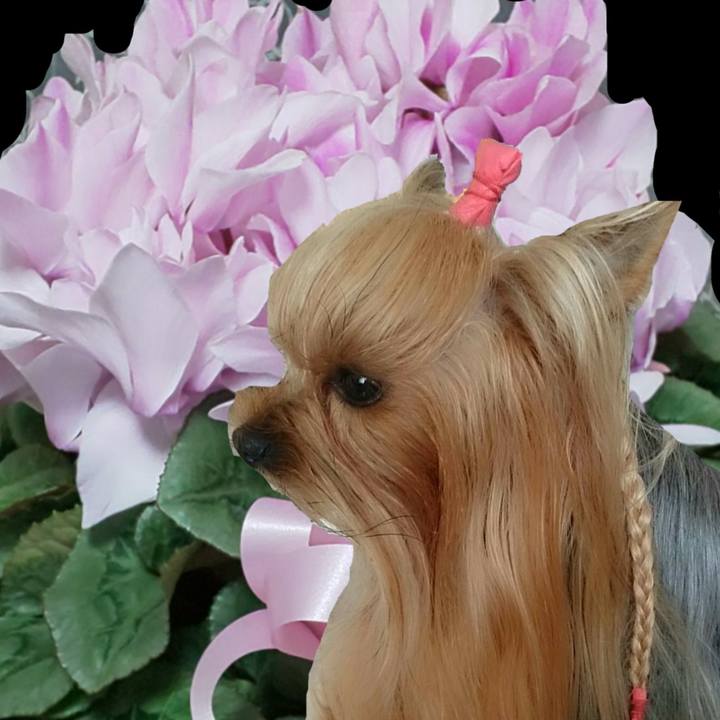 Add7ec3a 3e5f 46a8 88d9 a4f0991ac8c2 1579317819431