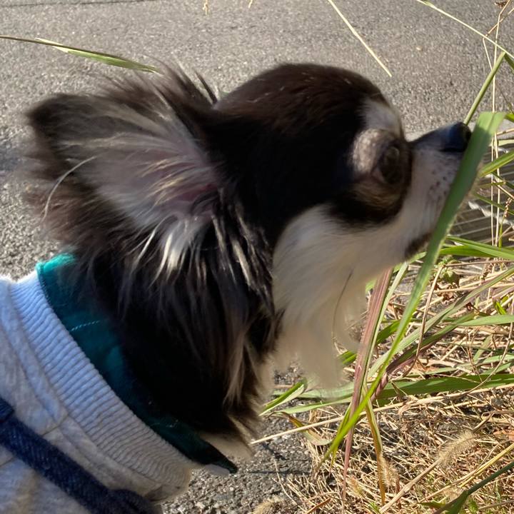 Add7fccf 07b7 4e08 bd55 635d1a0161bb 1638590301567