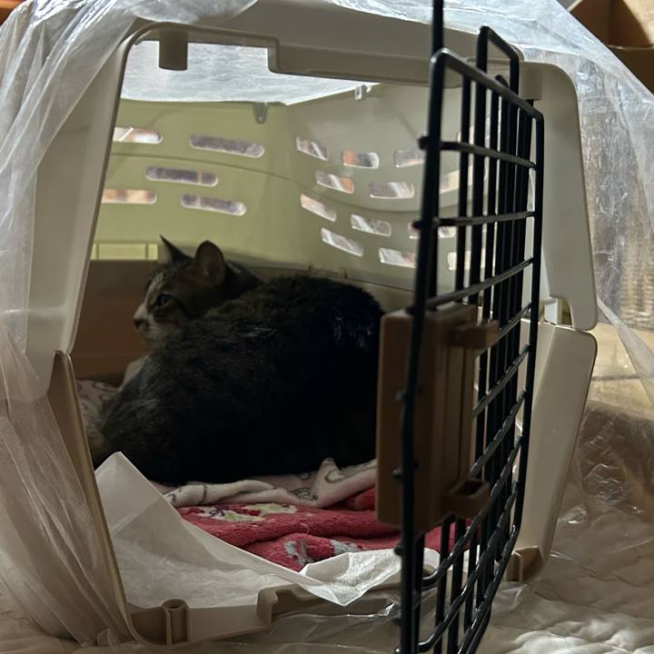 Add805fa 371d 49bd a4a2 776bef59d3af 1678195561928