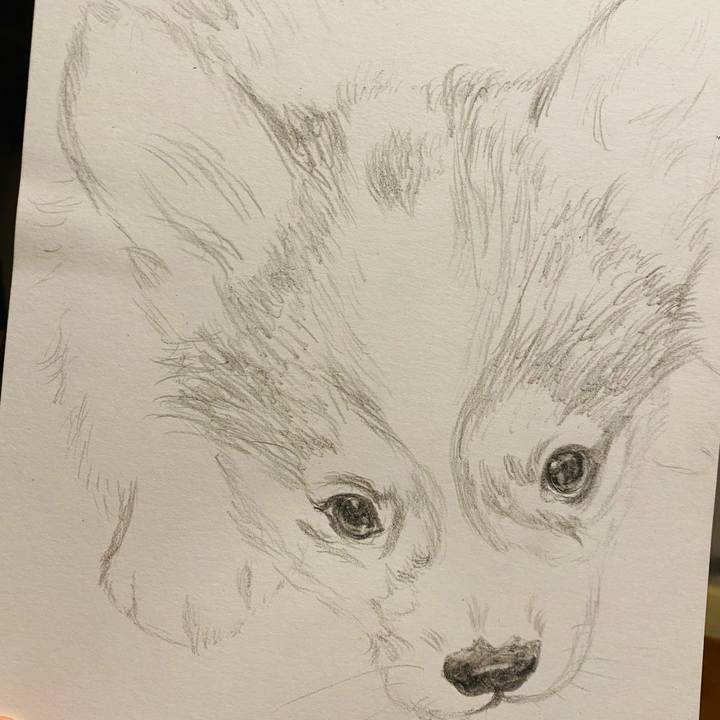 Add85606 4148 4add 8184 771cbac00d21 1630073896892