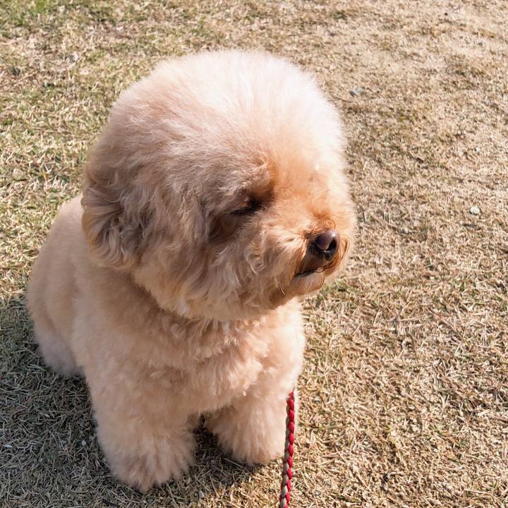 Add865fb 4a18 47d7 96e1 8e5f2bbbc112 1511416354913