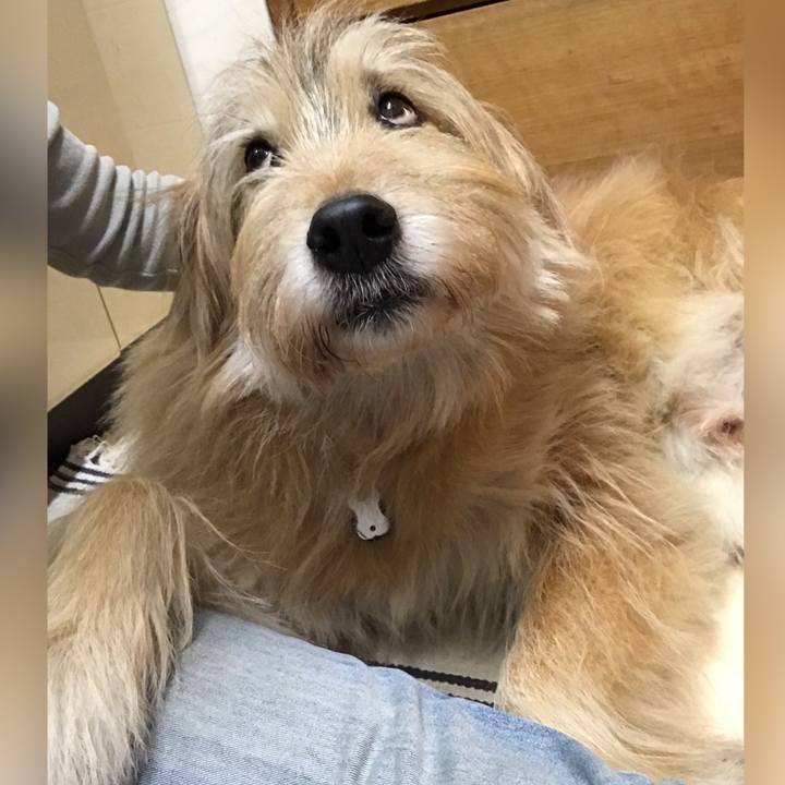 Add898ec 7268 40ce 93d6 cc8e94d2971c 1641568189905