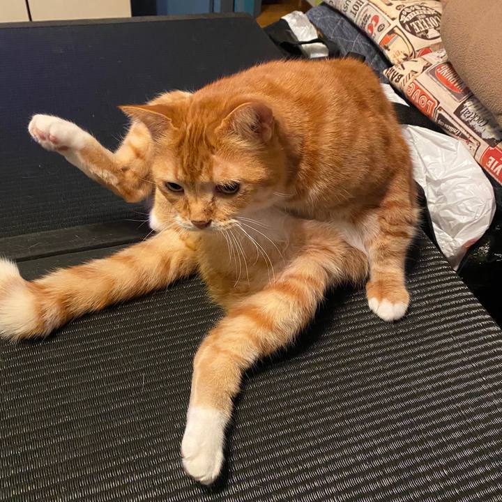 Add89984 7f1a 44f8 86f6 eba5936e01cc 1583494341672