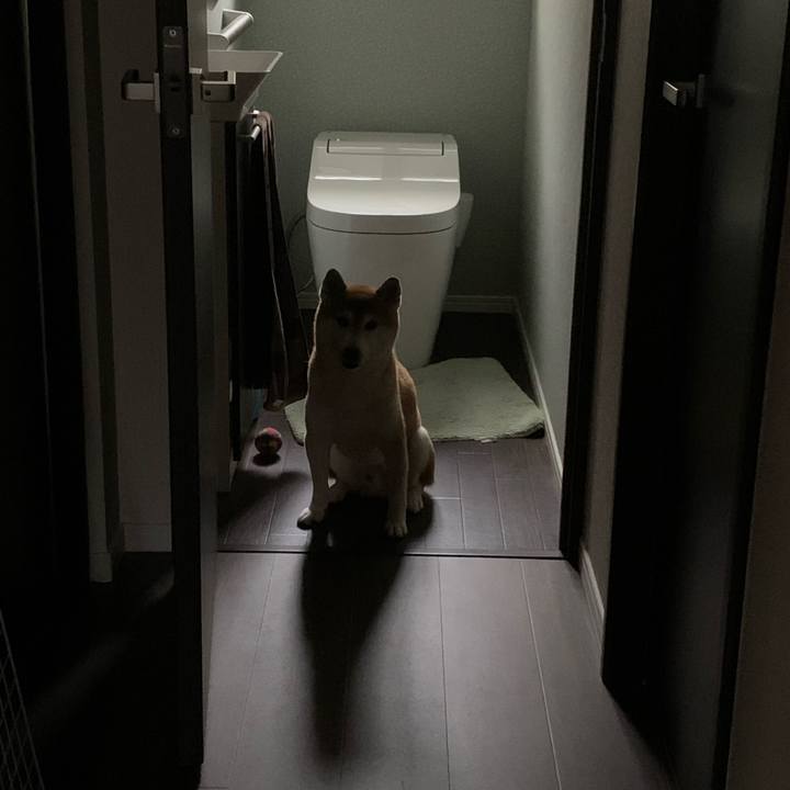 Add89f2f 200d 4e27 a823 f26f3e50e202 1621418001159