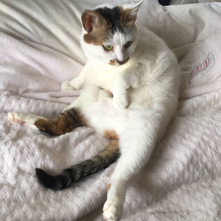 Add8cc4a c9fd 4cc3 9315 844fbe028169 1529652974473