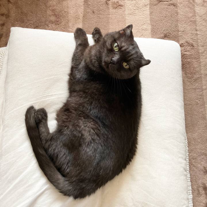 Add8f618 0385 43b4 9e0d 90cdc3a3259d 1601949889670