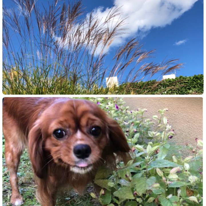 Add8fce0 3ee4 403b abd9 c1ed93a67bac 1541209976469