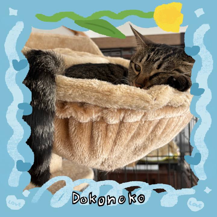 Add8fd96 0165 458e 8167 9a51ea5dcfd6 1772158718513