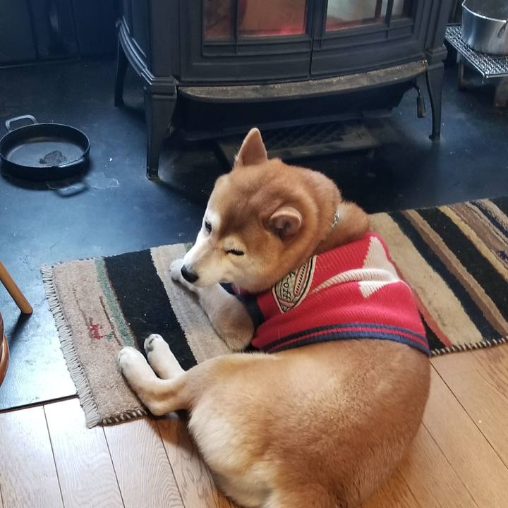 Add93b3b c340 4c5f b26d e6b63275e22a 1518840541487