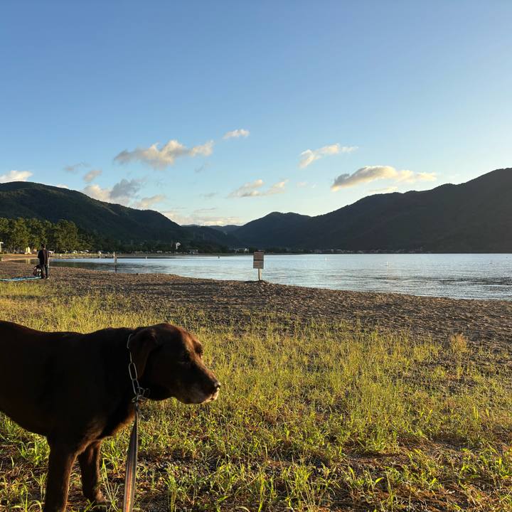 Add950f3 bb65 46b8 a1e3 d2fbd20e59d9 1758543405441