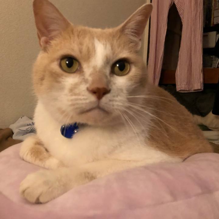 Add96271 f021 407b 9e81 b97e0261b0b6 1526641962438