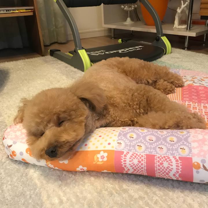 Add97d18 69bd 4683 adf6 7ccf5068d834 1517148188738