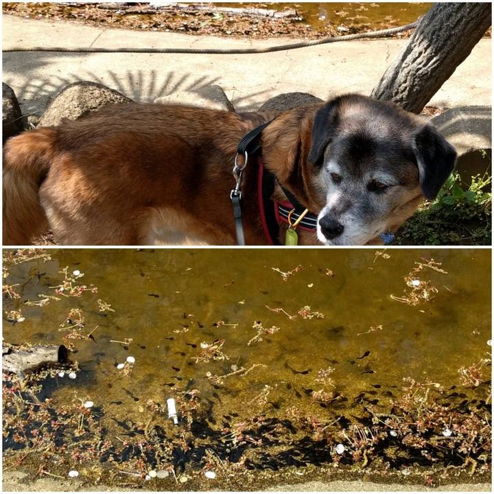 Add98eea 1729 482c b66d 5979082c558e 1555742557091