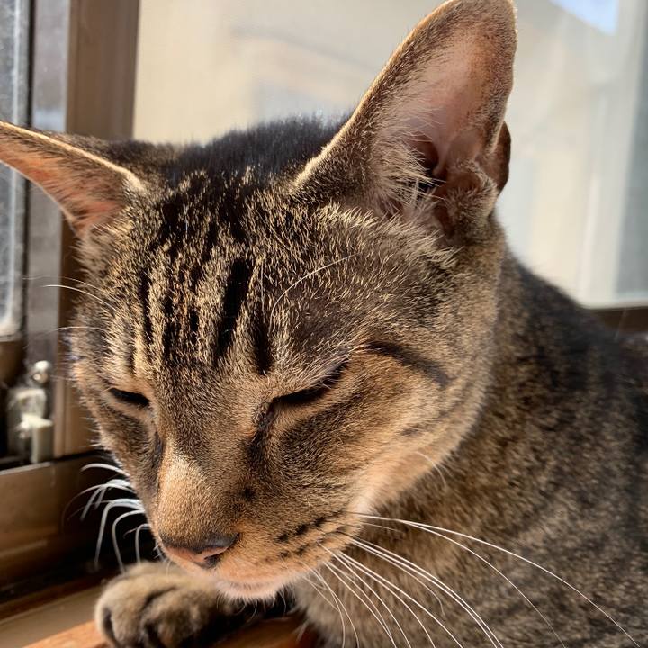 Add9cb4c 55c4 4daa a955 16cf75270aa2 1554687401443