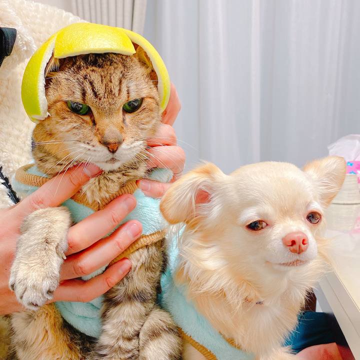 Add9dcf8 8a98 4ccb b53c 9589e9130705 1668138678346