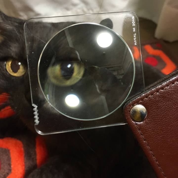 Add9eded af9a 43da 97cc 3f0b8c748de7 1554830200425