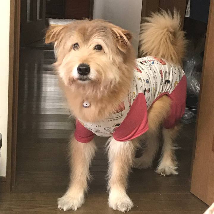 Adda03e9 838a 44c2 a721 a670b04f4641 1617145210827