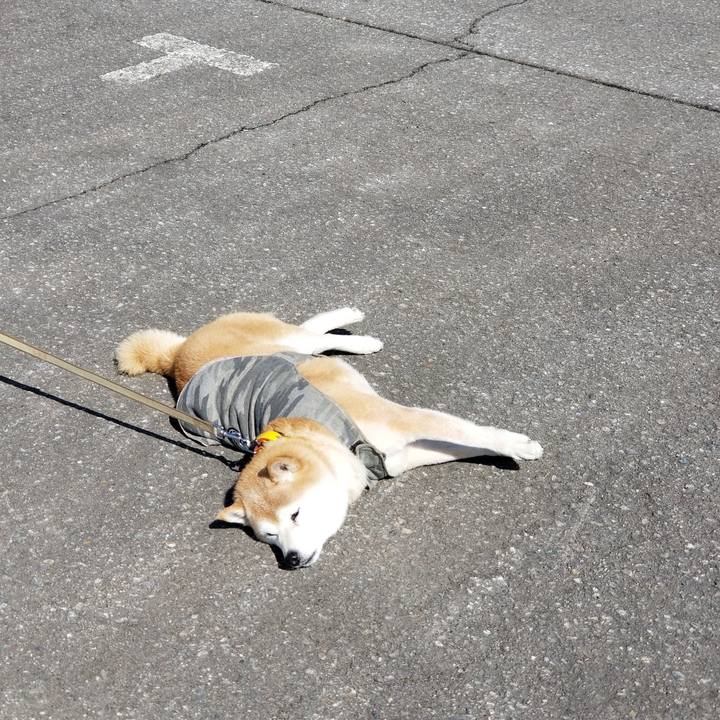 Adda2559 e457 455e ad8e c21638ed97e6 1678768595955