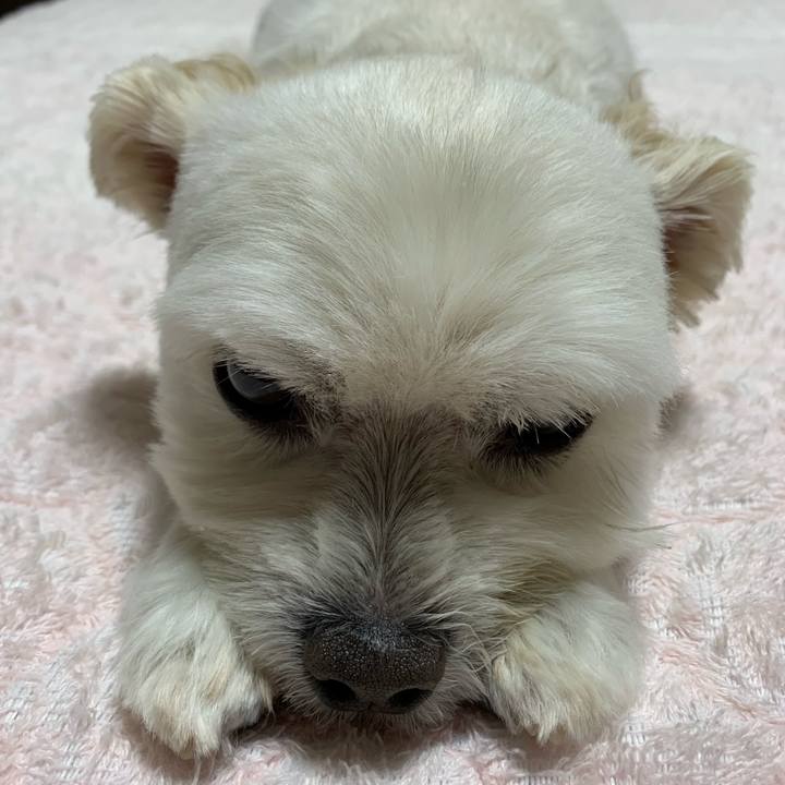 Adda28d7 ac01 45cf ac5e 9423bc6f67c3 1631970149445