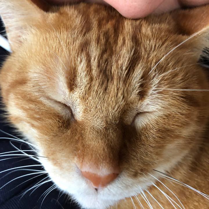 Adda52d5 b2a2 484d a7cd f1f245f79b23 1714377277594