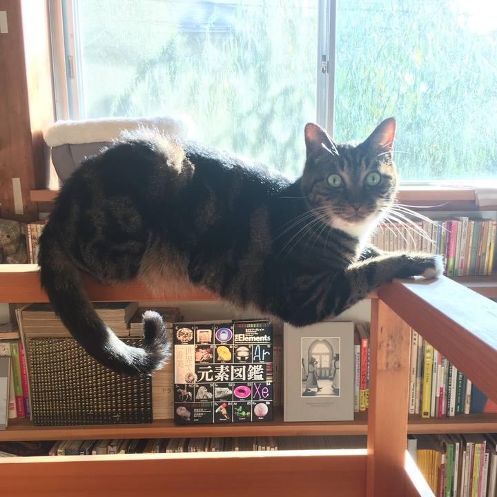 Adda625a 3ba2 4f57 b886 1dc5ac8b7ca9 1541807169221