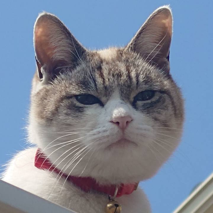 Adda68f0 206e 47f4 a99d bbd91d1ac8df 1742442475925