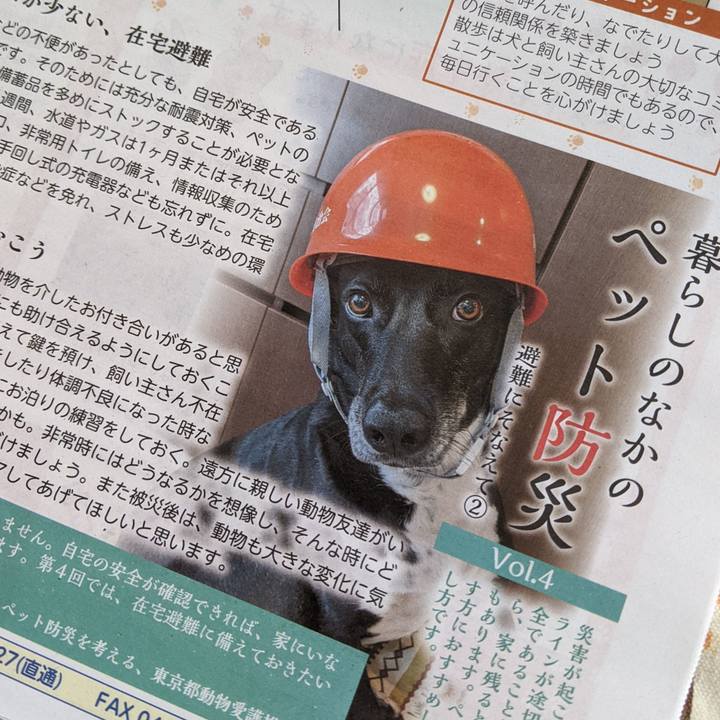 Adda870f 5b3c 4549 97e8 dec1c2c129c1 1692010992853