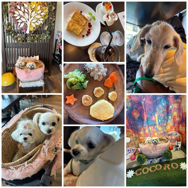 Adda96fa 0ad3 4811 ac62 cf0d37e05fde 1756710214616